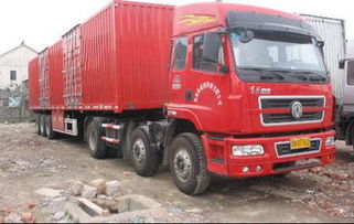 天津进口代理清关与国内运输服务 巧克力、干果、橄榄油等货物一站式解决方案