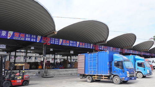 签约兄弟团物流，快运兔运力再升级，携手共拓国内货运代理新版图